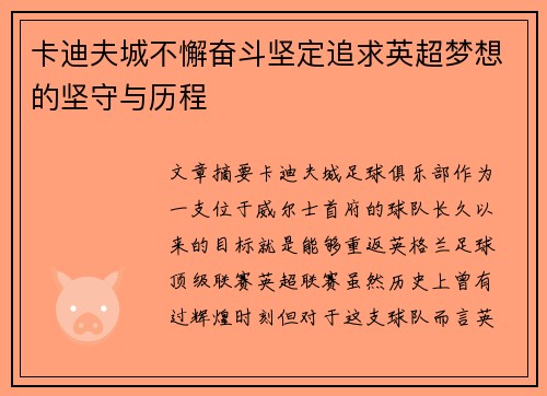 卡迪夫城不懈奋斗坚定追求英超梦想的坚守与历程