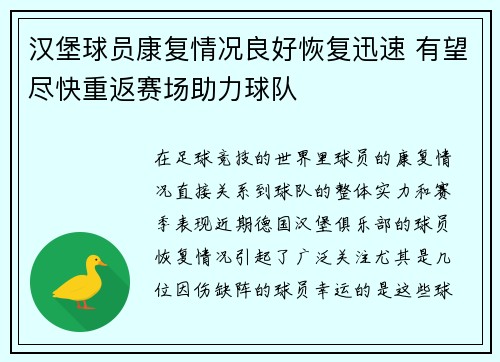 汉堡球员康复情况良好恢复迅速 有望尽快重返赛场助力球队